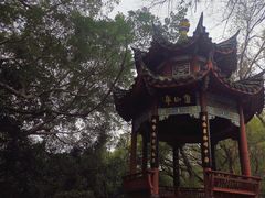 -乌山风景区