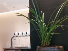 -羊门客在·烤盐池滩羊·川菜