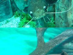 -常州海昌海洋探索馆