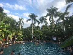 -100蛋泥浆浴