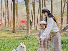-田野绿世界
