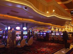 -拉斯维加斯永利酒店