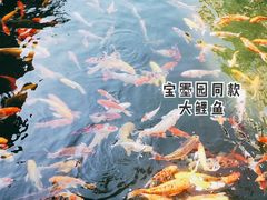 -番禺宾馆丽苑厅