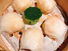 蝦餃-金苑海鲜酒家(来魅力店)