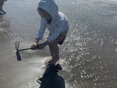 -奉贤海滩