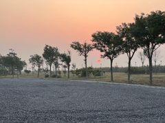 -东堤公园
