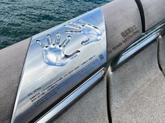 -星光大道