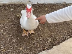 -团结湖公园