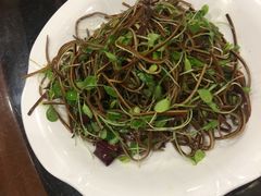 香椿苗黑豆腐丝-大鸭梨烤鸭店(金顶街店)