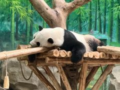 -灵玲国际马戏城