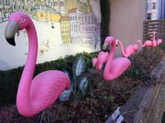 -华为授权体验店(万航渡路)