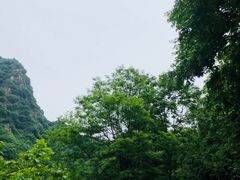 -秦岭终南山世界地质公园翠华山景区