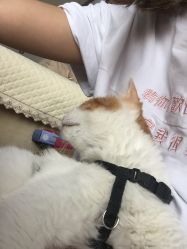 -喵酱日式美甲美睫Neko Nail Studio