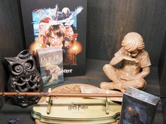 -雪灵魔法世界SHELLY’S TAROT(大良桂畔里店)