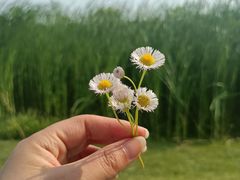 -良渚古城遗址公园