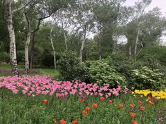 -北京植物园南门售票处