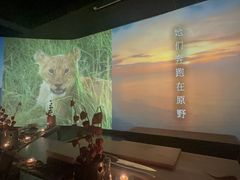 -地球美食剧场