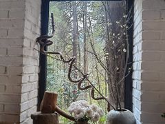 -寂照庵