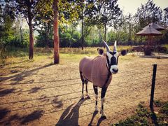 -大连森林动物园