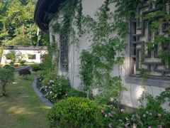-杭州西湖柳莺里酒店