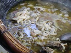-小杨翘脚牛肉