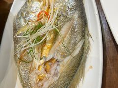 -崂山印象·青岛·海鲜渔家菜