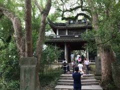 -蒋氏故居