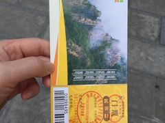 -牛背梁国家森林公园