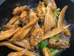 -港升鱼师傅·中山脆肉鲩