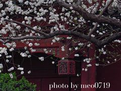 -雍和宫