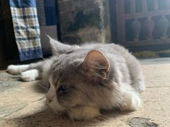 -老屋咖啡