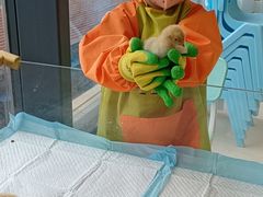 -怪兽屋·羊驼·猫咖·狗咖(俊华广场店)