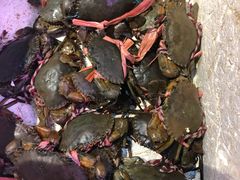 蒸蟹粉丝-202特色排档(五缘湾店)