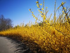 -永定河休闲森林公园