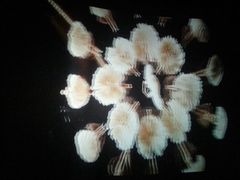 android_upload_pic-万达影城(洛阳万达广场IMAX激光店)
