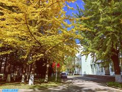 -辽东学院(南校区)