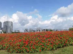 -东戴河风景区-止锚湾