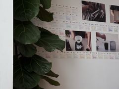 -纽巷咖啡 SOFTFOCUS COFFEE(锦和巴黎时韵店)