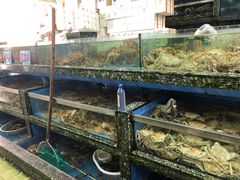 水产区-新农都水产市场