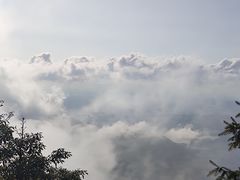 -梧桐山风景名胜区