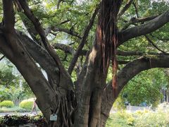-晓港公园