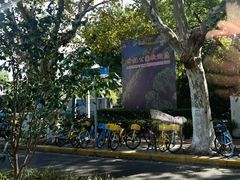 -世纪公园-1号门停车场