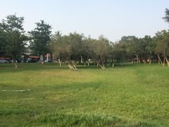 -松山湖南湖湾露营营地