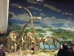 iphone_upload_pic-自贡恐龙博物馆