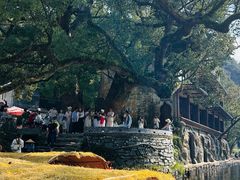 -上坦村