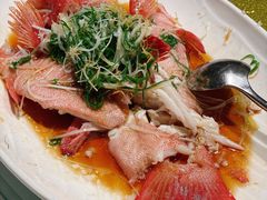 东星斑-潮民公馆(BFC外滩金融中心店)