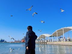 -海驴岛(荣成市)
