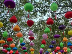 -东南花都花博园