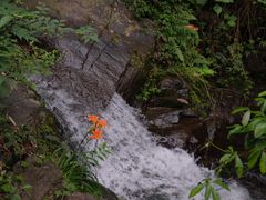 -长谷洞天