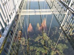 -石燕湖生态旅游景区